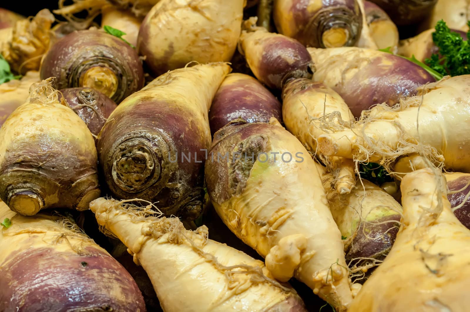 turnip on display at farmers market