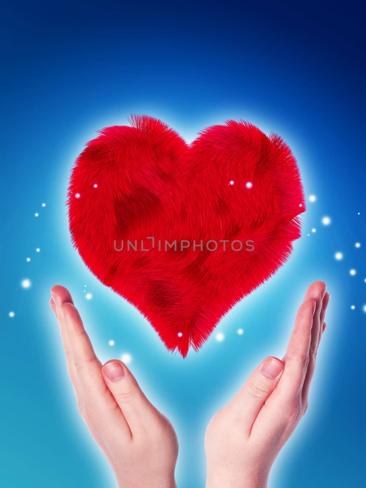 two hands holding a red furry heart on blue background