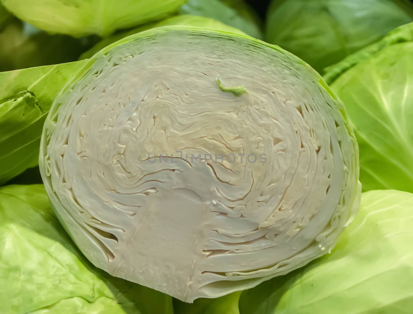 cut cabbage on display at farmers market