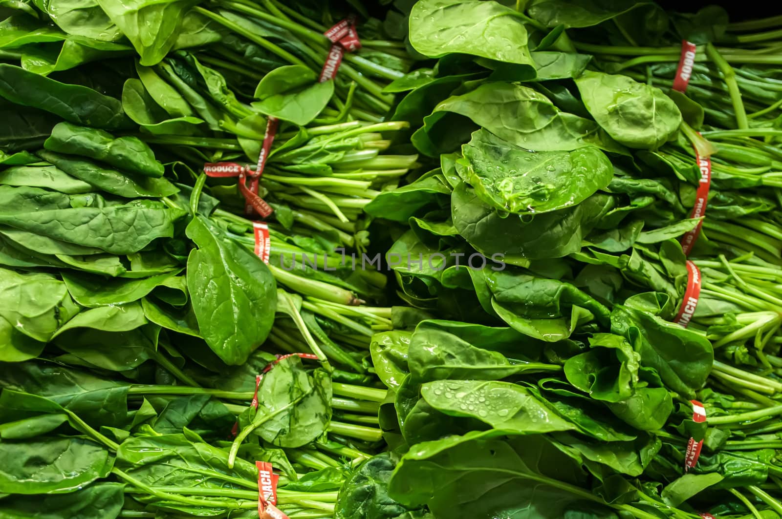 fresh green leaves spinach on display