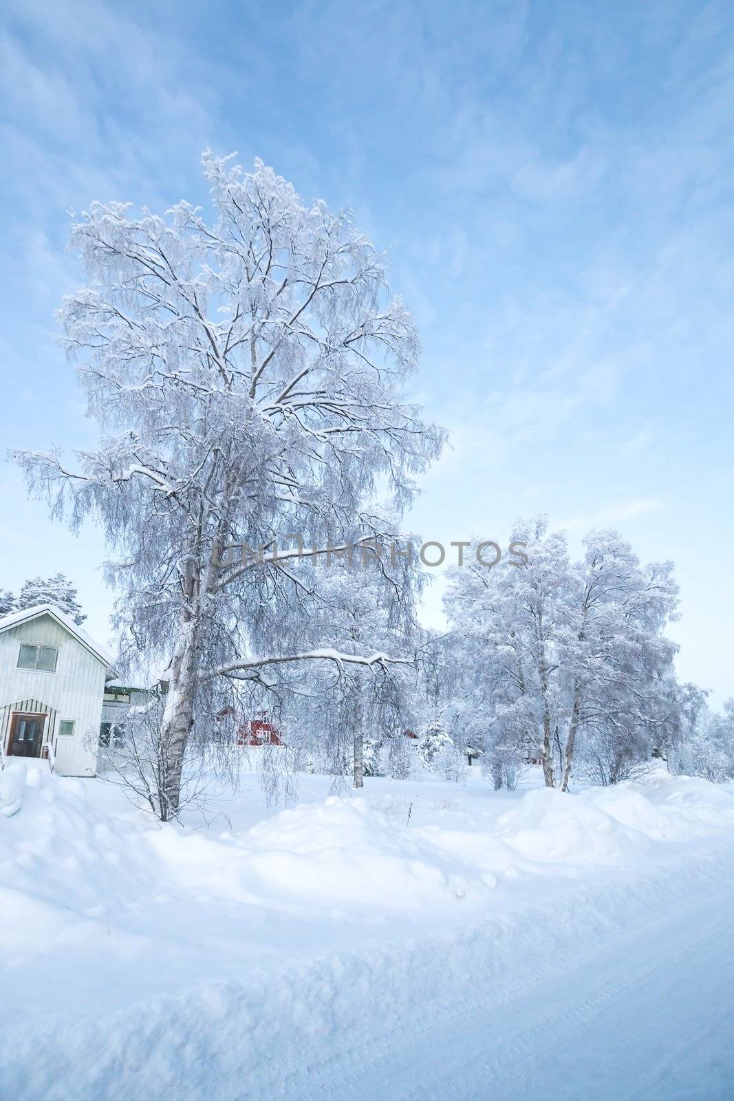 Winter landscape at Kiruna Lapland Sweden