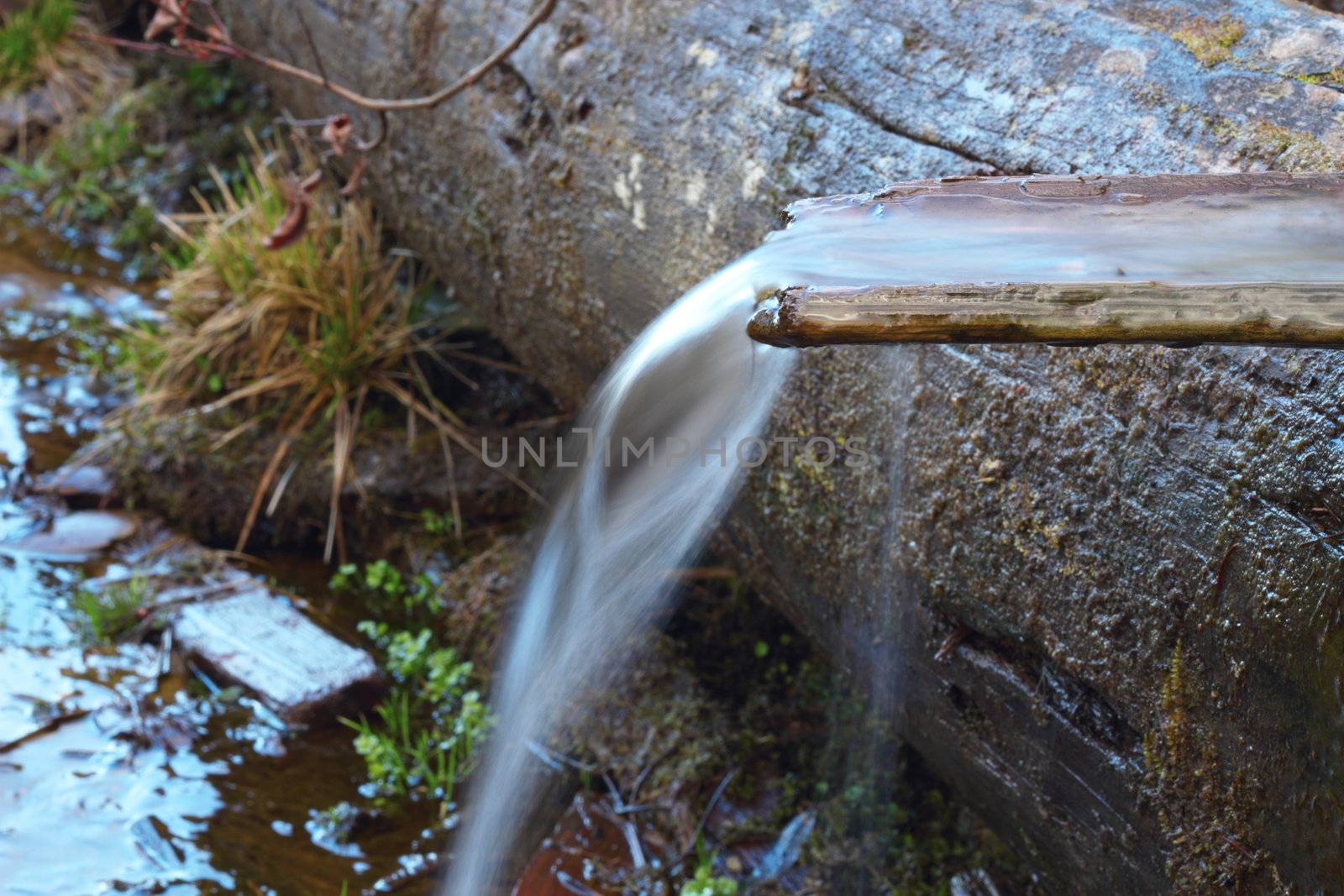 spring water flowing on a wooden channel