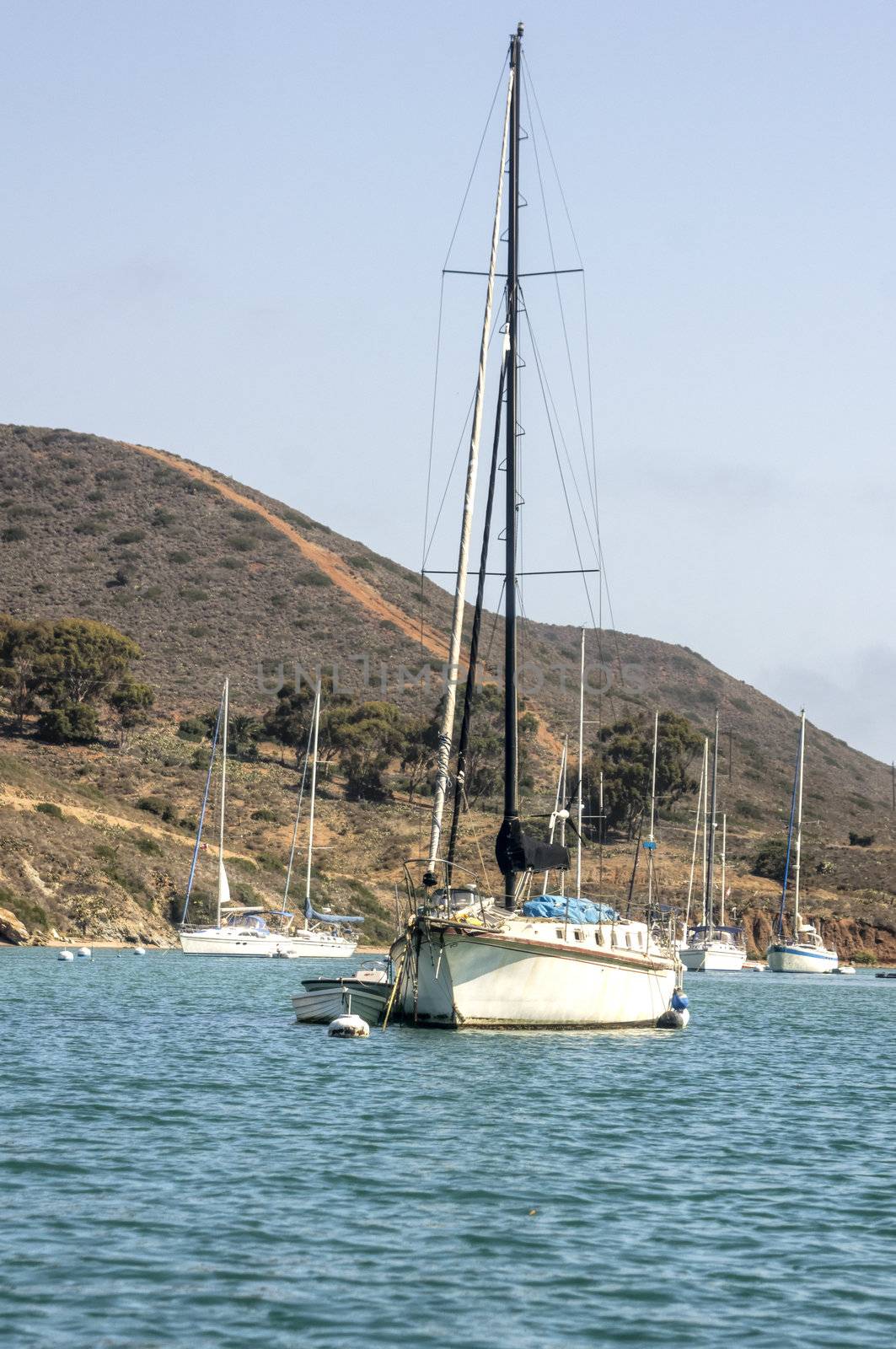 Sailboat moored at Santa Catalina Island in the quiet bay of Catalina Harbor