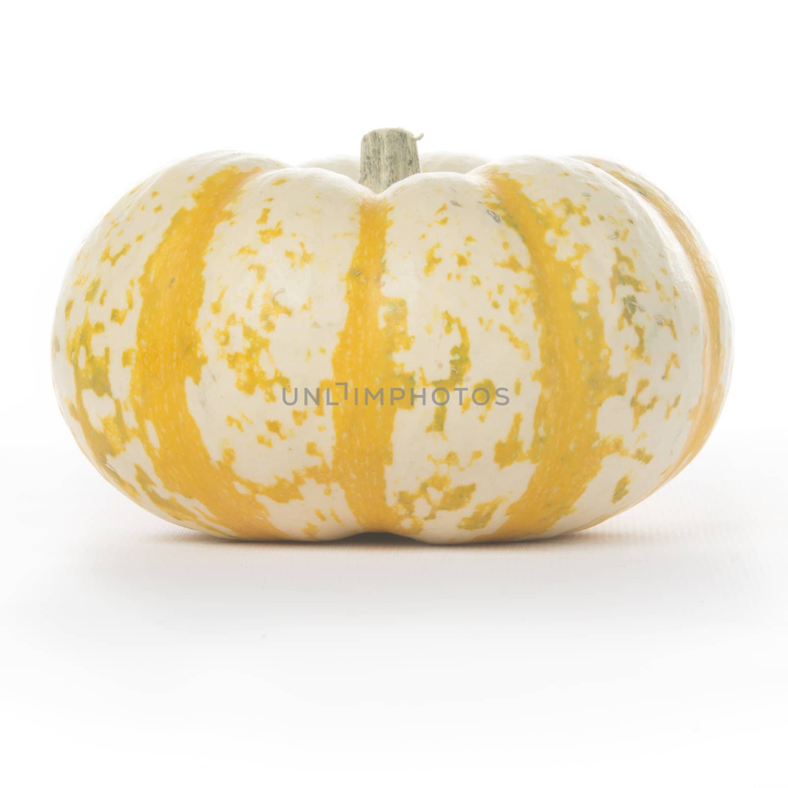 Single fairytale pumpkin isolated on white background with light shadow