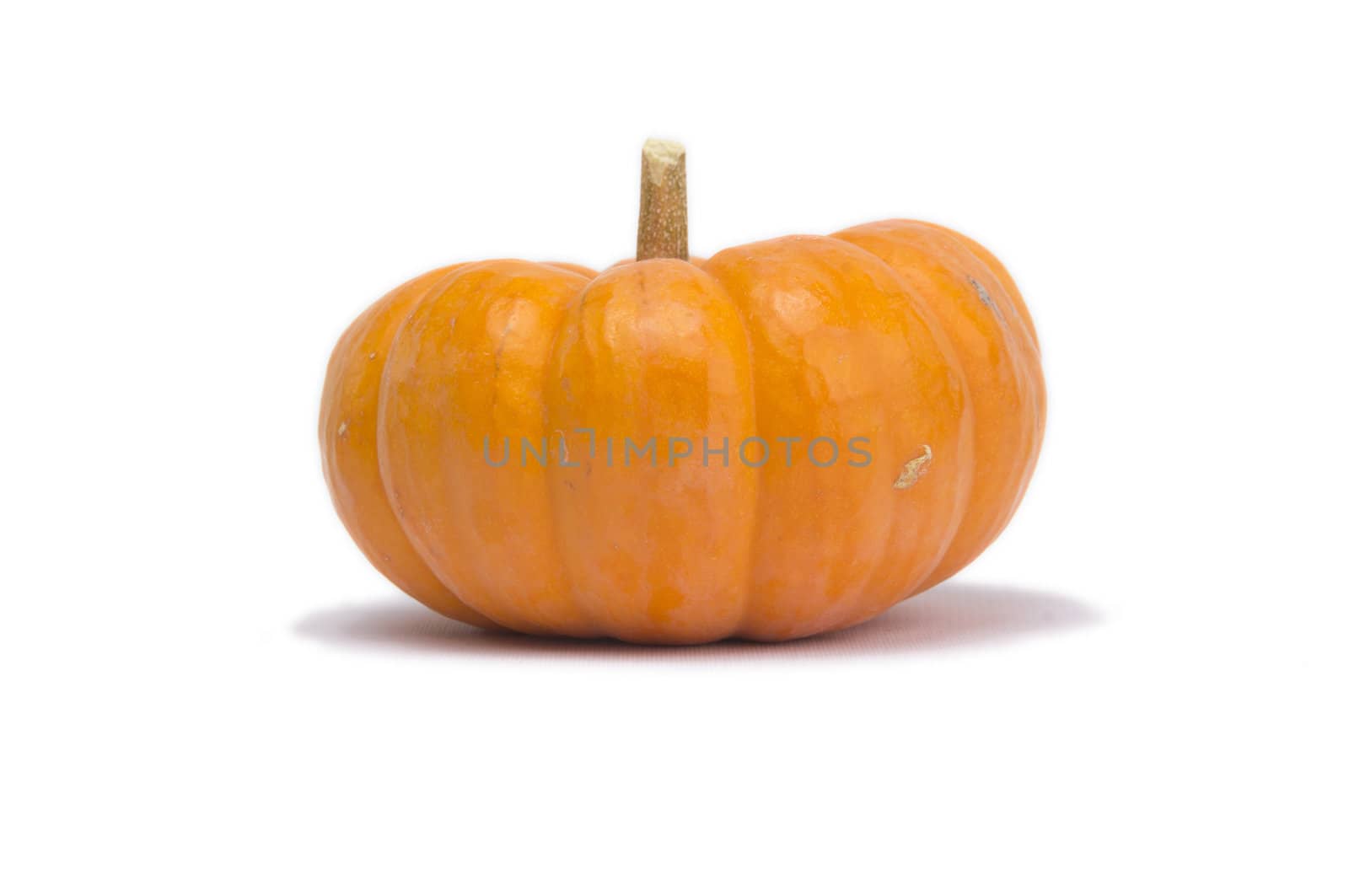Single pumpkin isolated on white background with light shadow