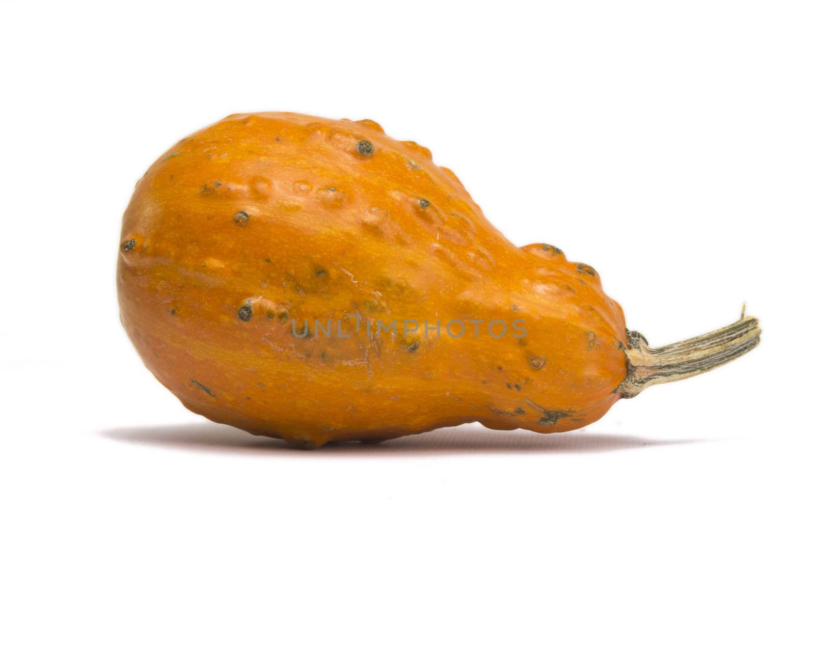 Orange gourd isolated on white background with light shadow