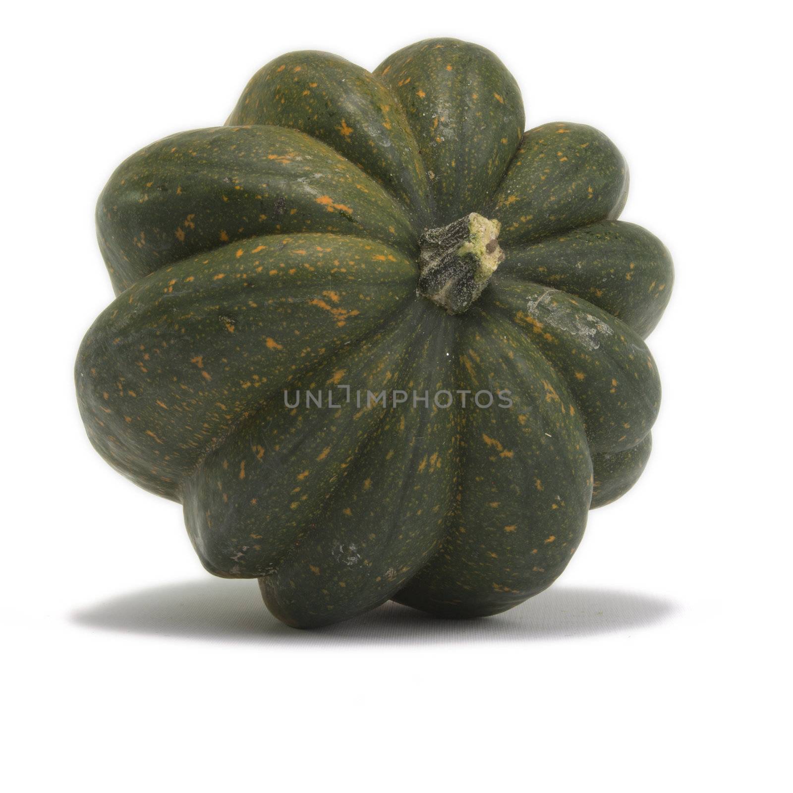 Acorn Squash Isolated on White Background by cvalle
