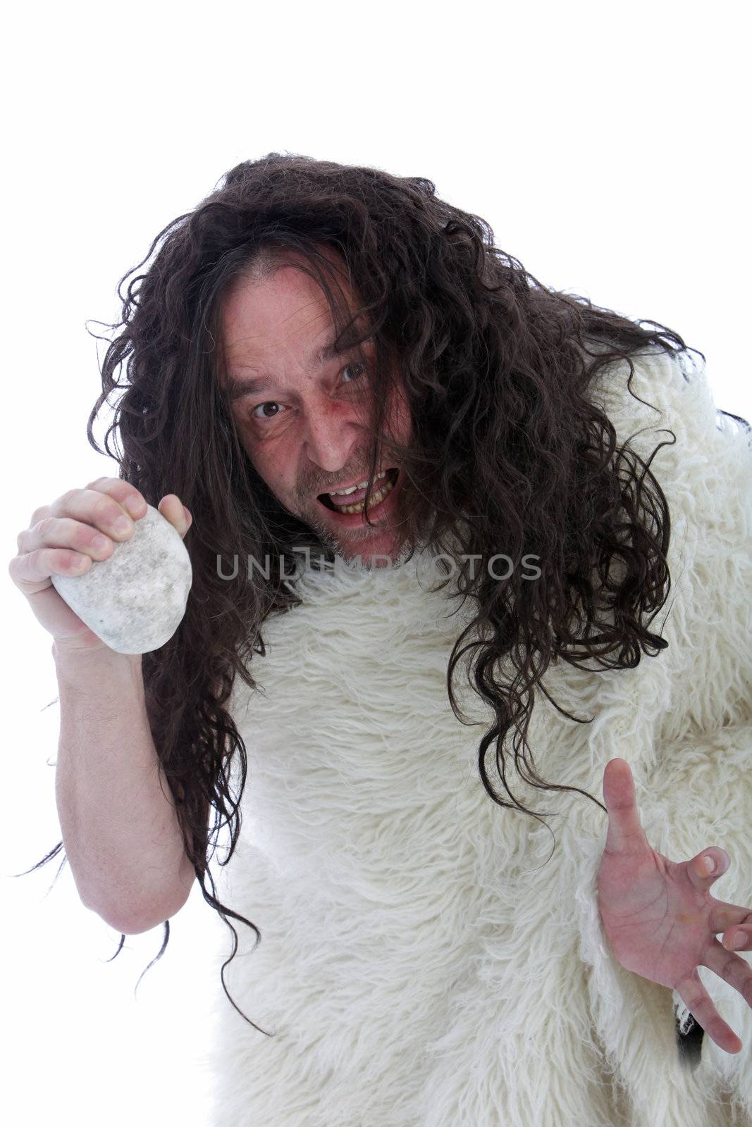 Threatening primitive savage stoneage man holding a rock up in his hand in a threatening gesture, humorous portrait of a long haired man clad in a animal fur isolated on white