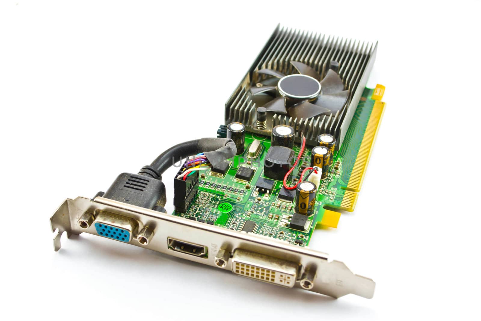 Ram on a white background