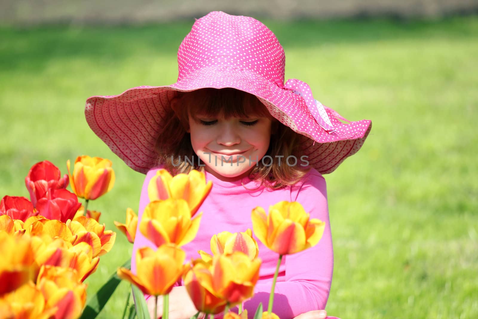 little girl and tulip flowers garden by goce