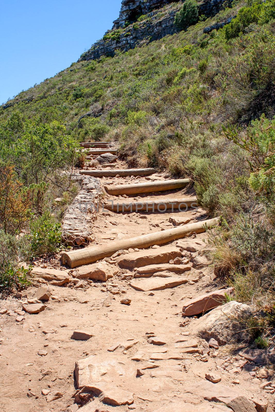 Hiking Path on table Mountain,, Cape Town South Africa