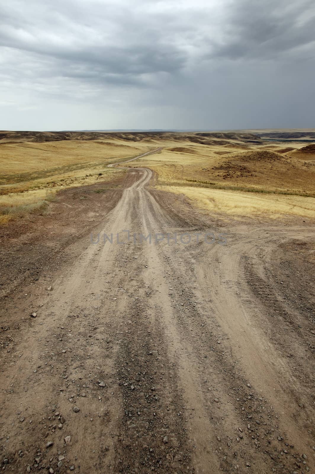 Roads in the desert by Novic