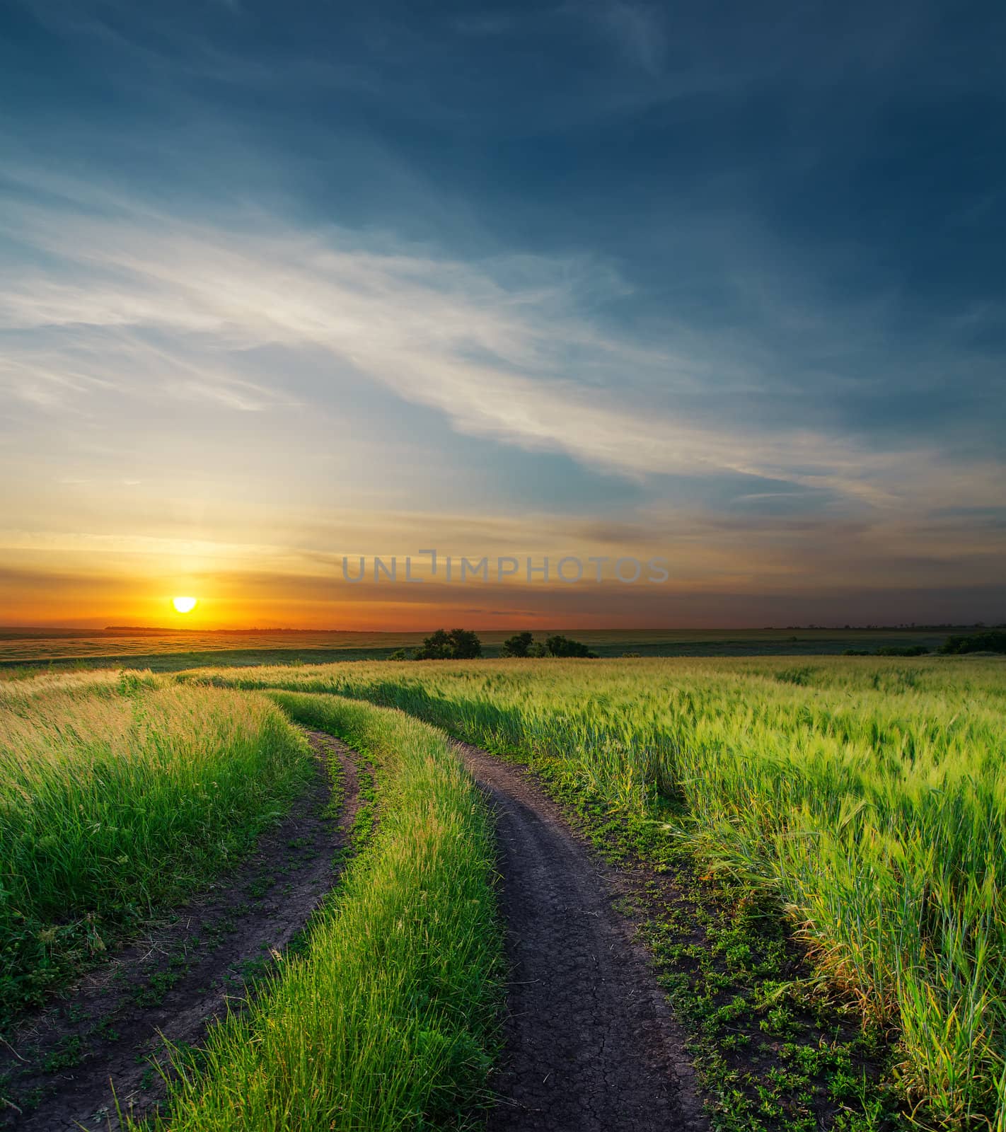 sunset over rural road near green field