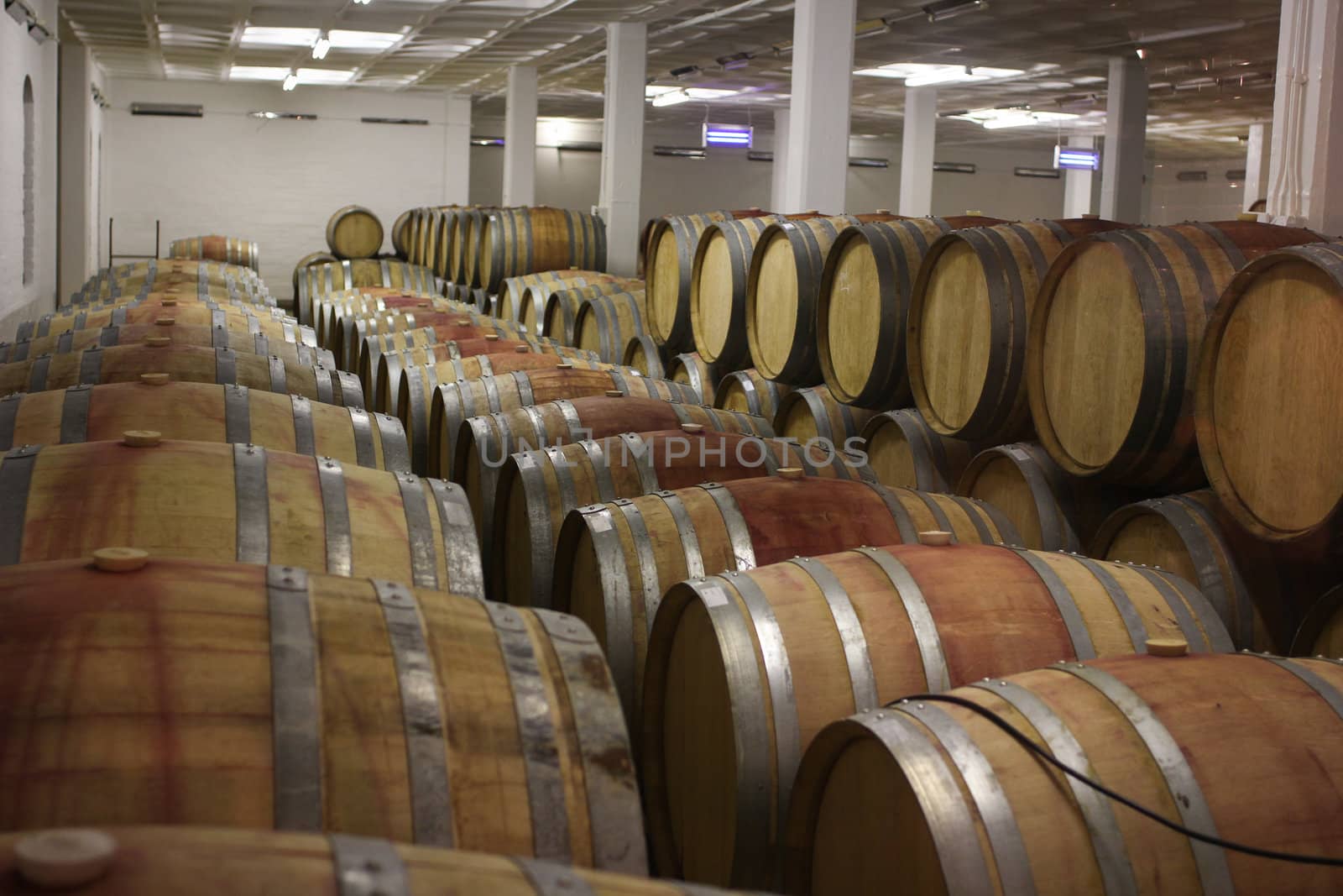 Inside of a Wine cellar full of wooden barrels