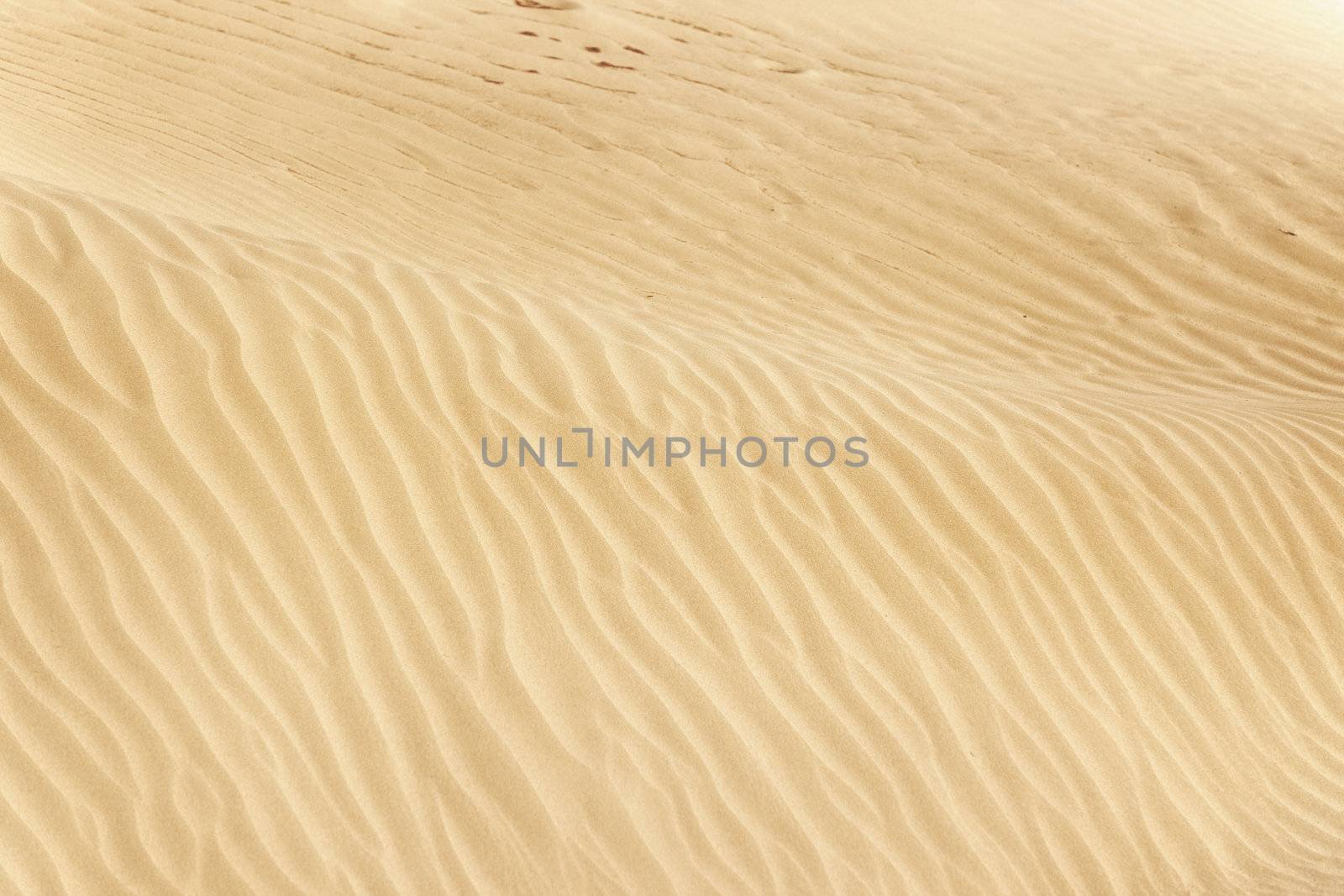 View on the rippled sand dunes in the desert. Natural light and colors