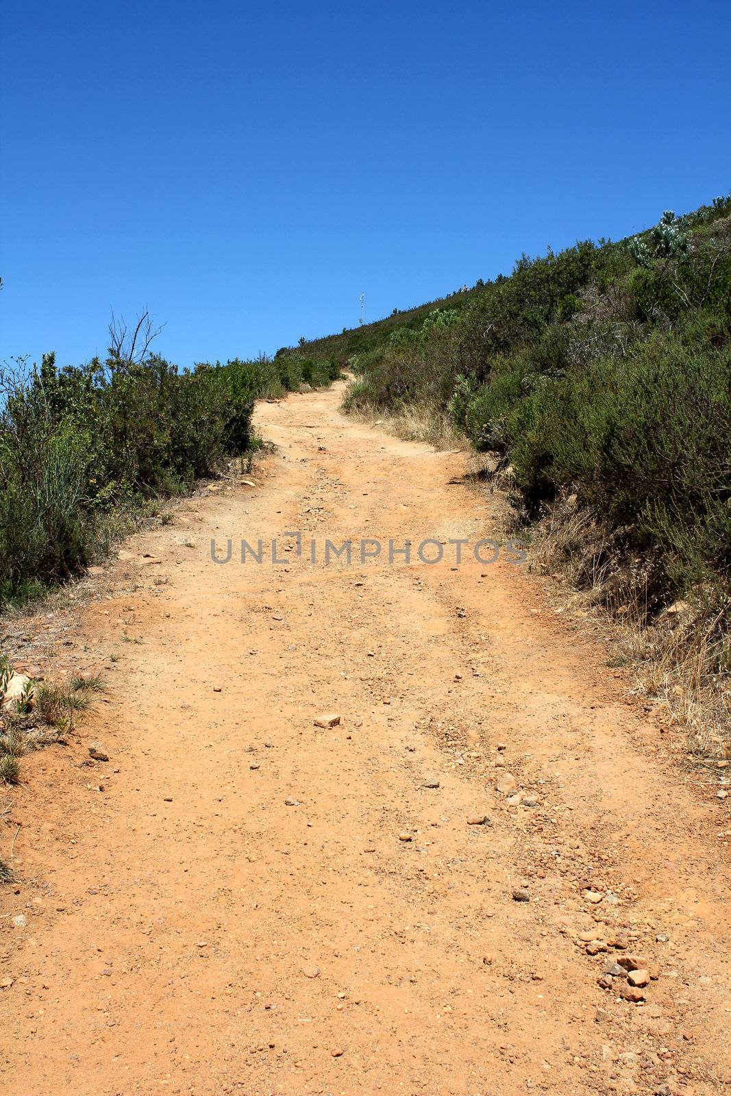 Hiking Path on table Mountain,, Cape Town South Africa