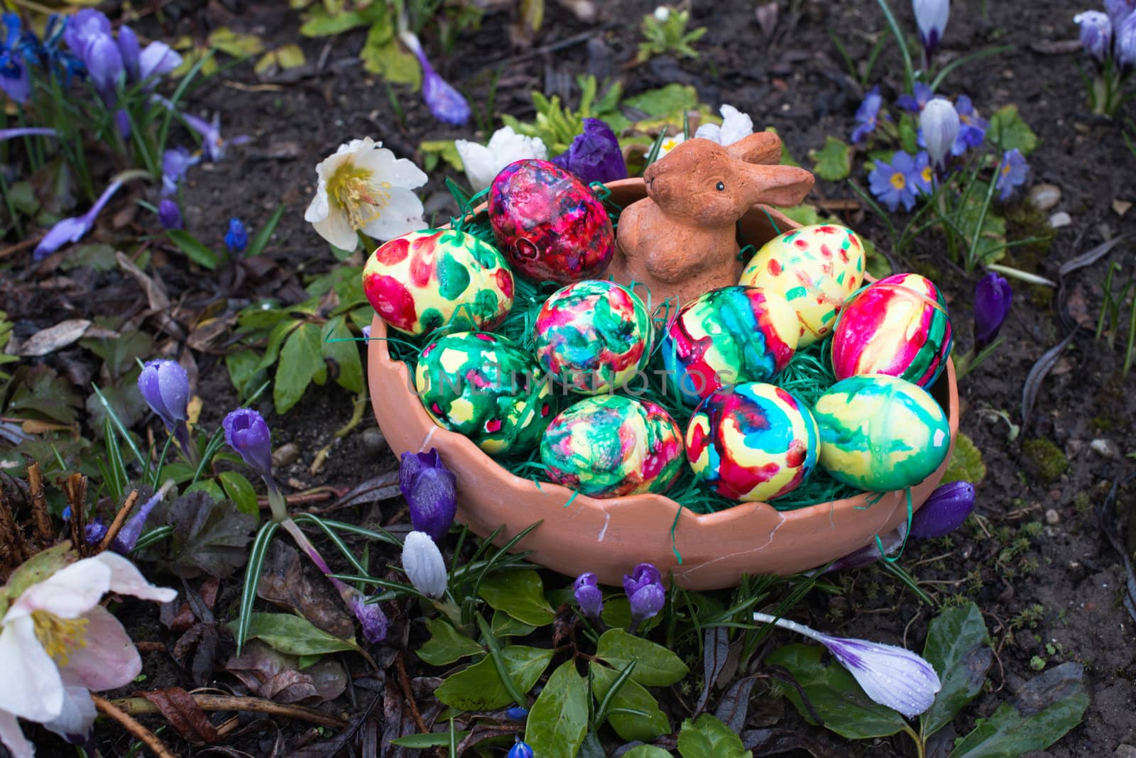 spring crocus flowers and easter basket with easter eggs and bunny decoration