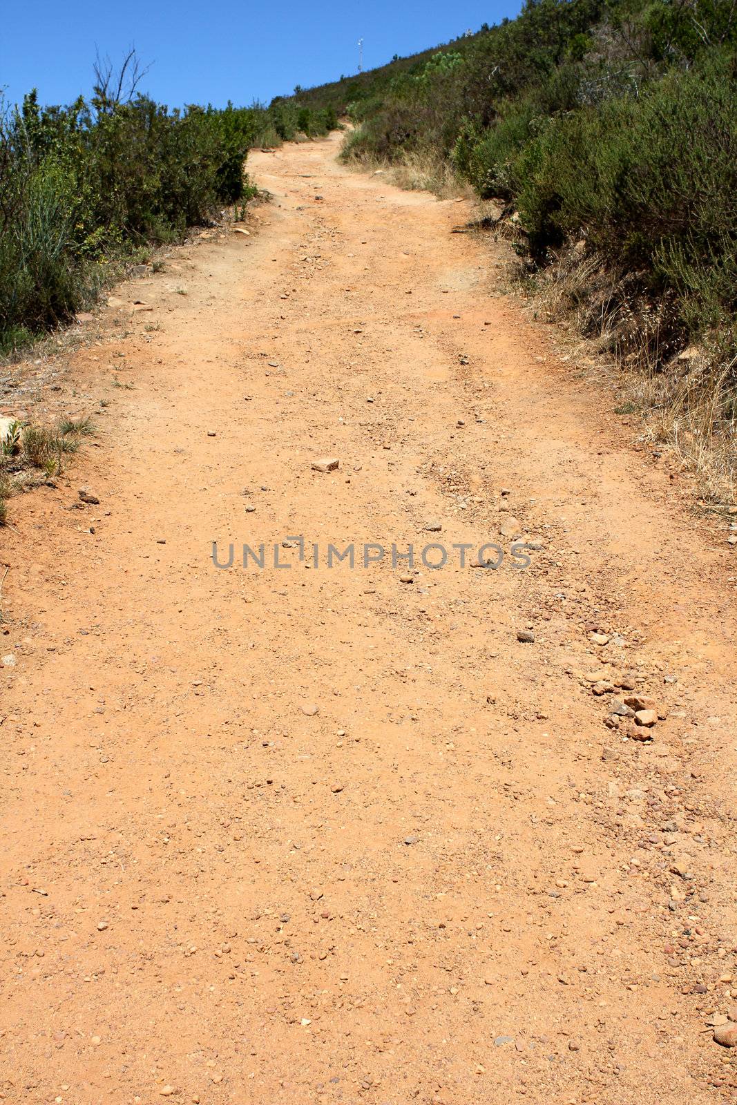 Hiking Path on table Mountain,, Cape Town South Africa