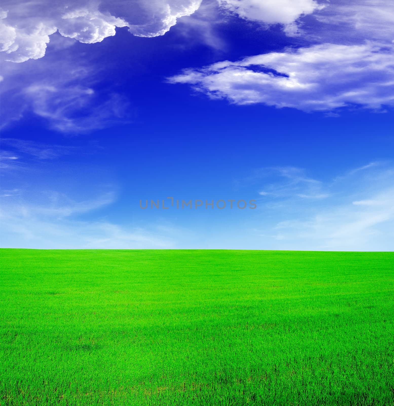 Summer landscape - blue sky and green field by rbv