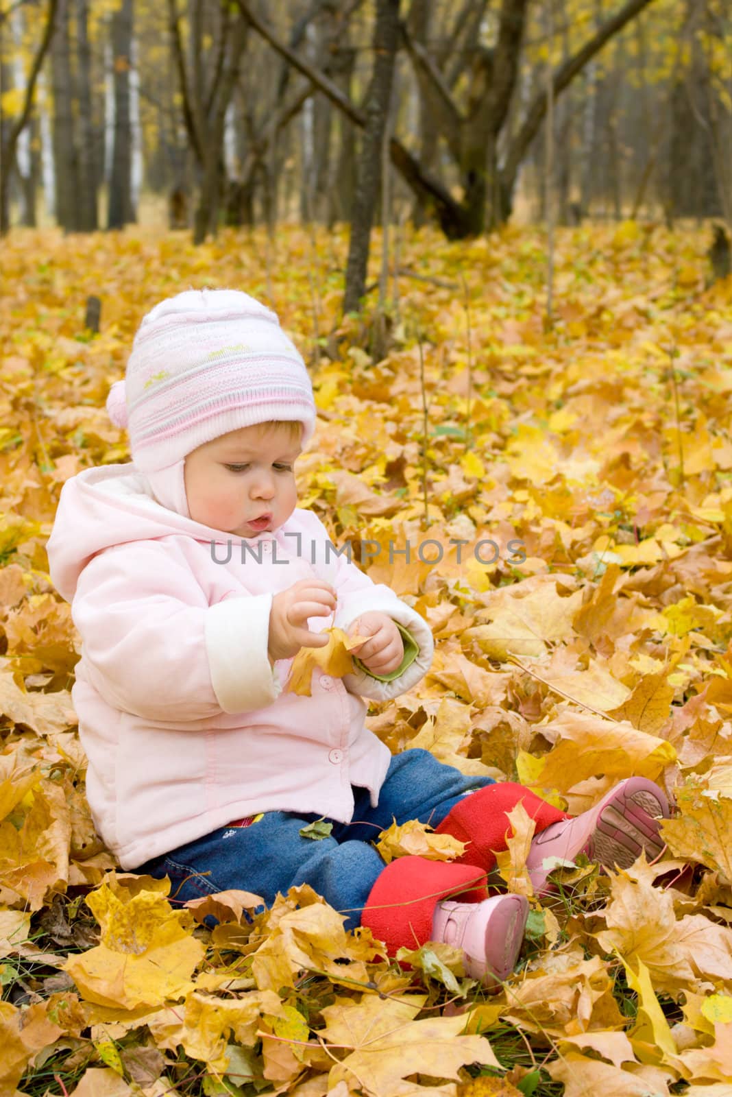 Small baby playing with yellow maple leafs by rbv