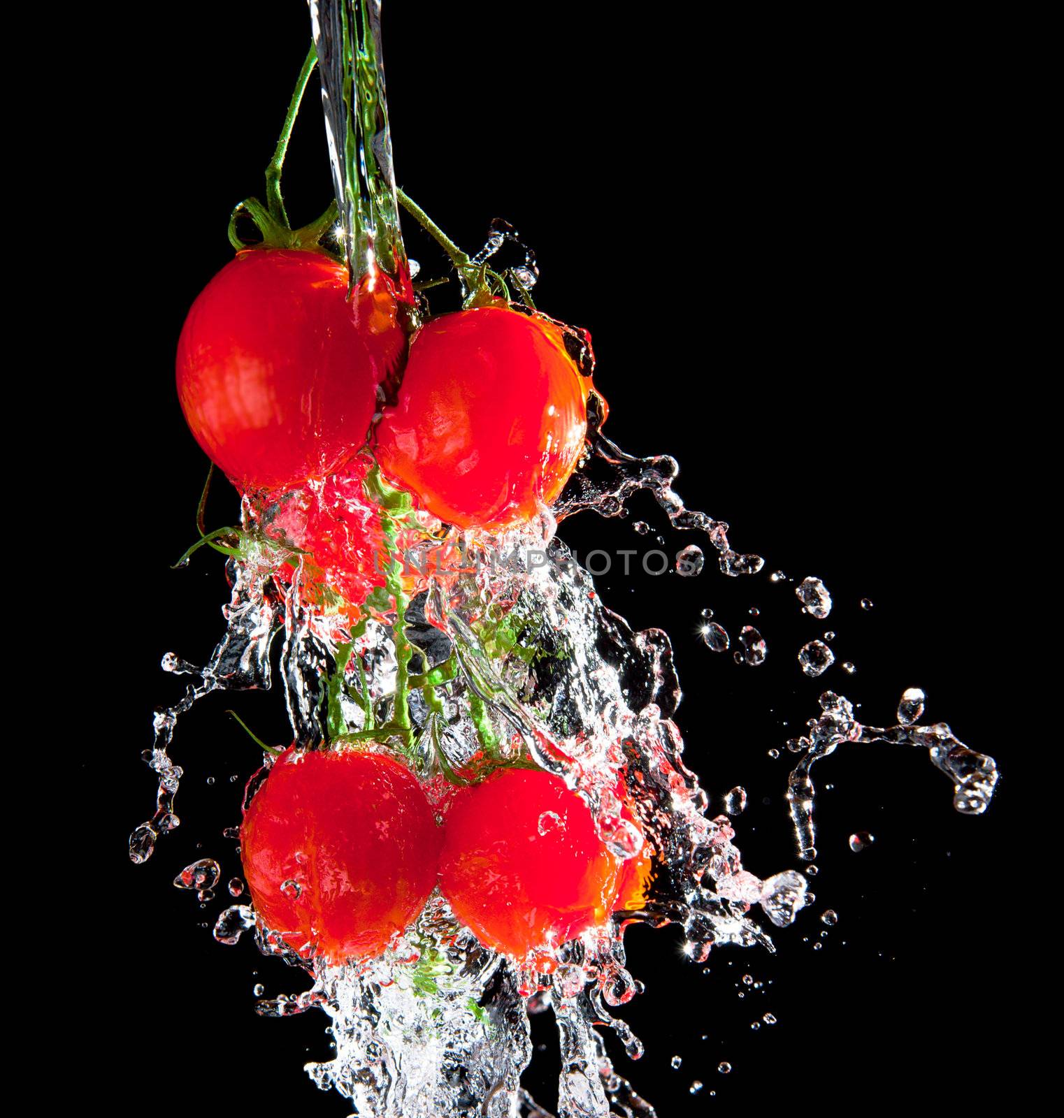 Flow of pourng water on tomato bunch isolated