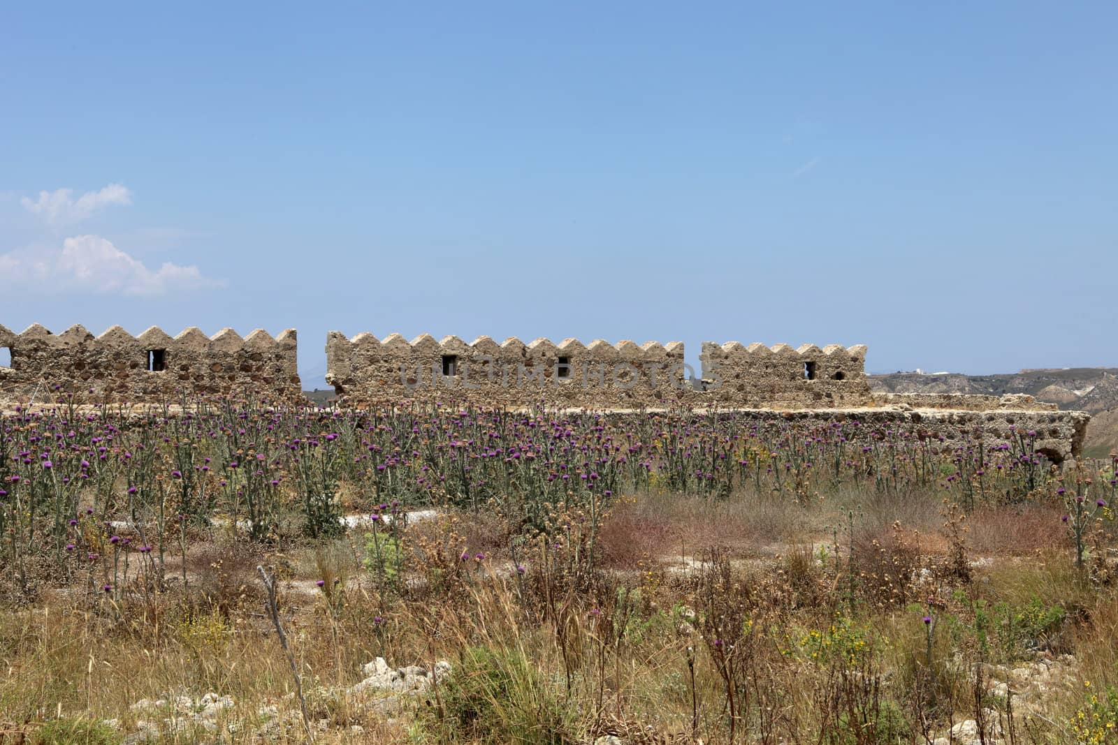 Ruins  of the Medieval Castle near Antimachia village