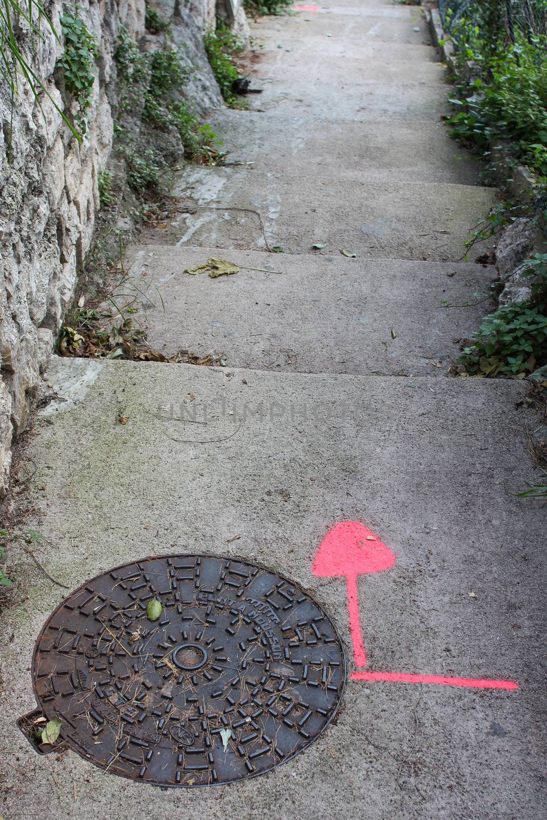 Pink Arrow Pointing Down Stairs