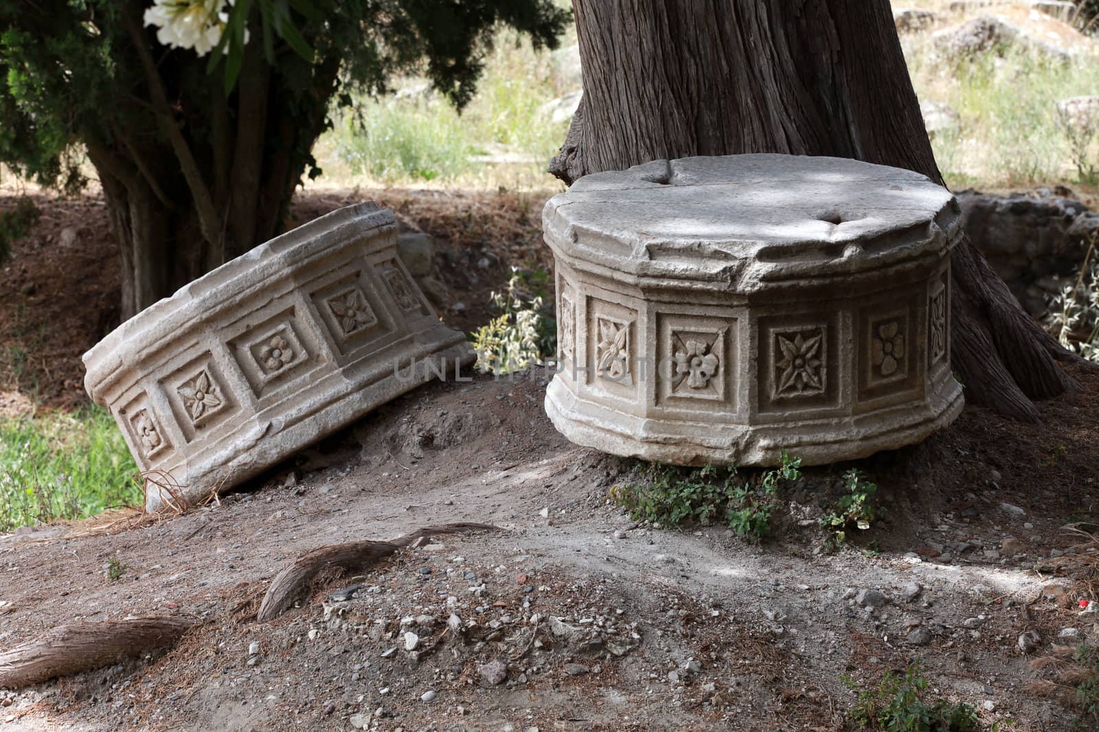 the ruins of the ancient agora on Kos Island, Dodecanese