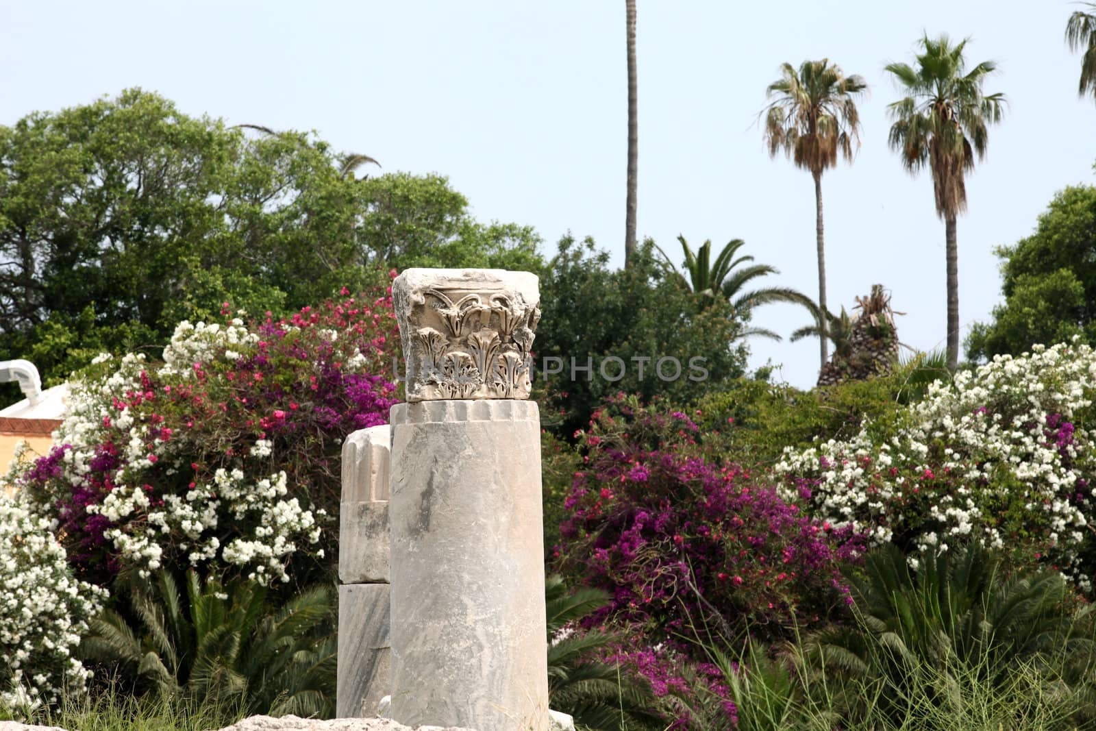 the ruins of the ancient agora on Kos Island, Dodecanese