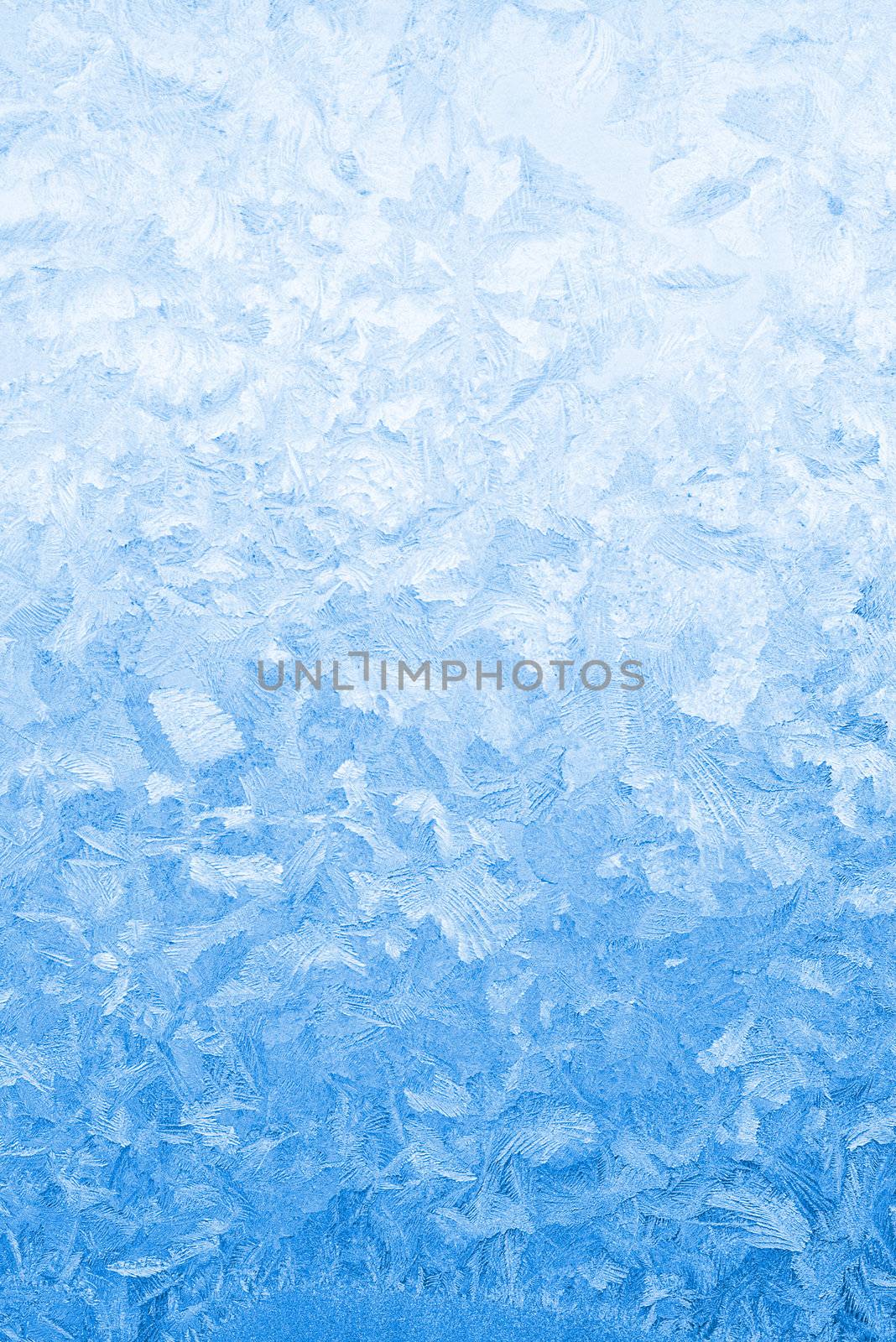 Light blue frozen window glass by rbv