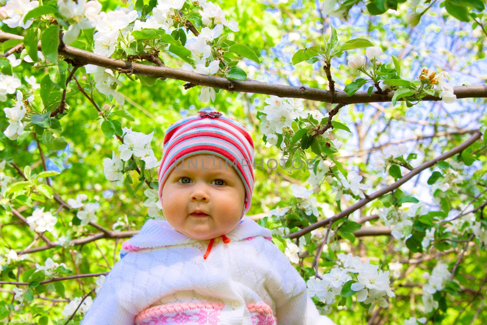 Portrait of small baby in spring apple garden