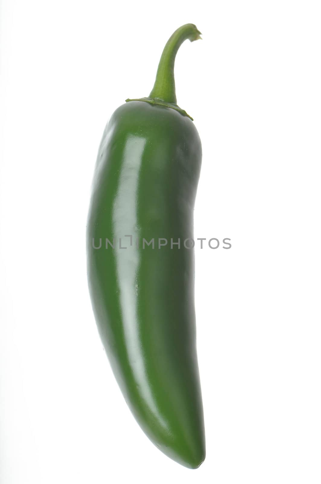 Single Pepper isolated against a white background