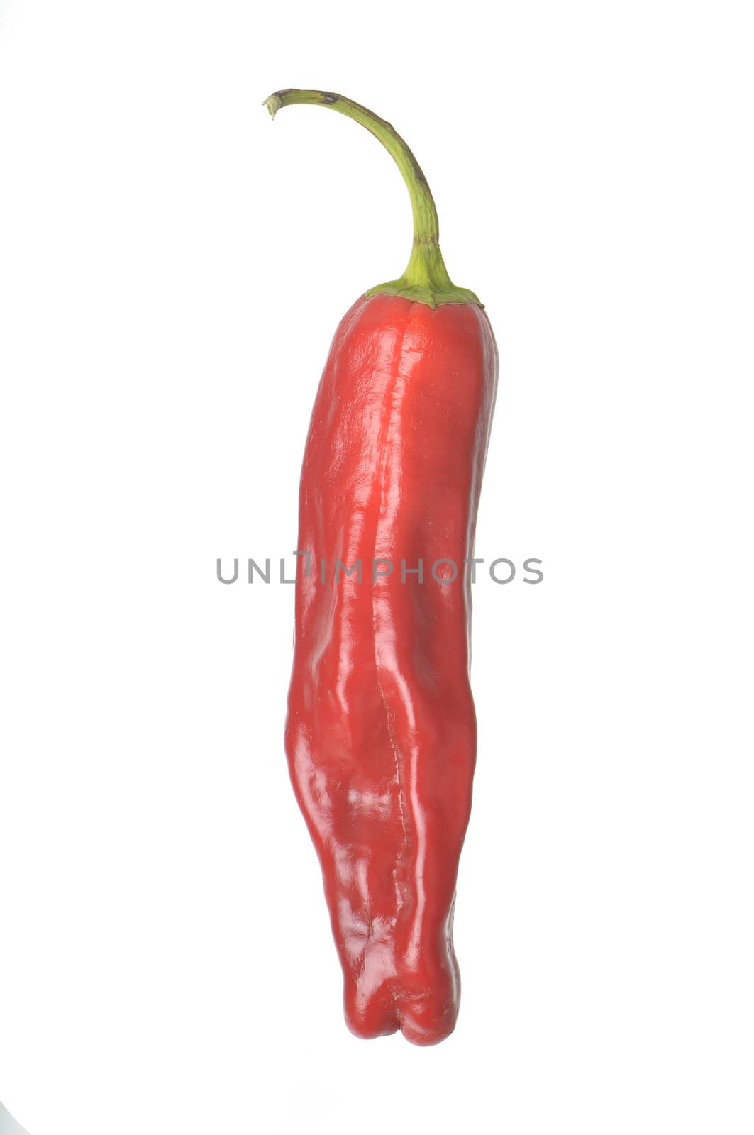 Single Pepperoncini Pepper isolated against a white background