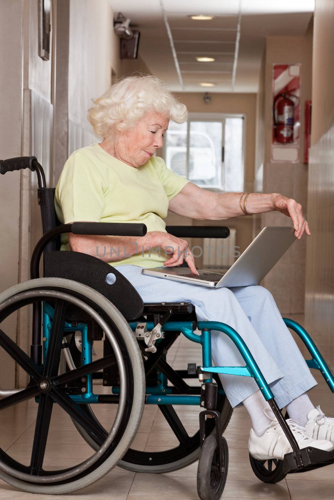 Woman on Wheelchair Using Laptop by leaf