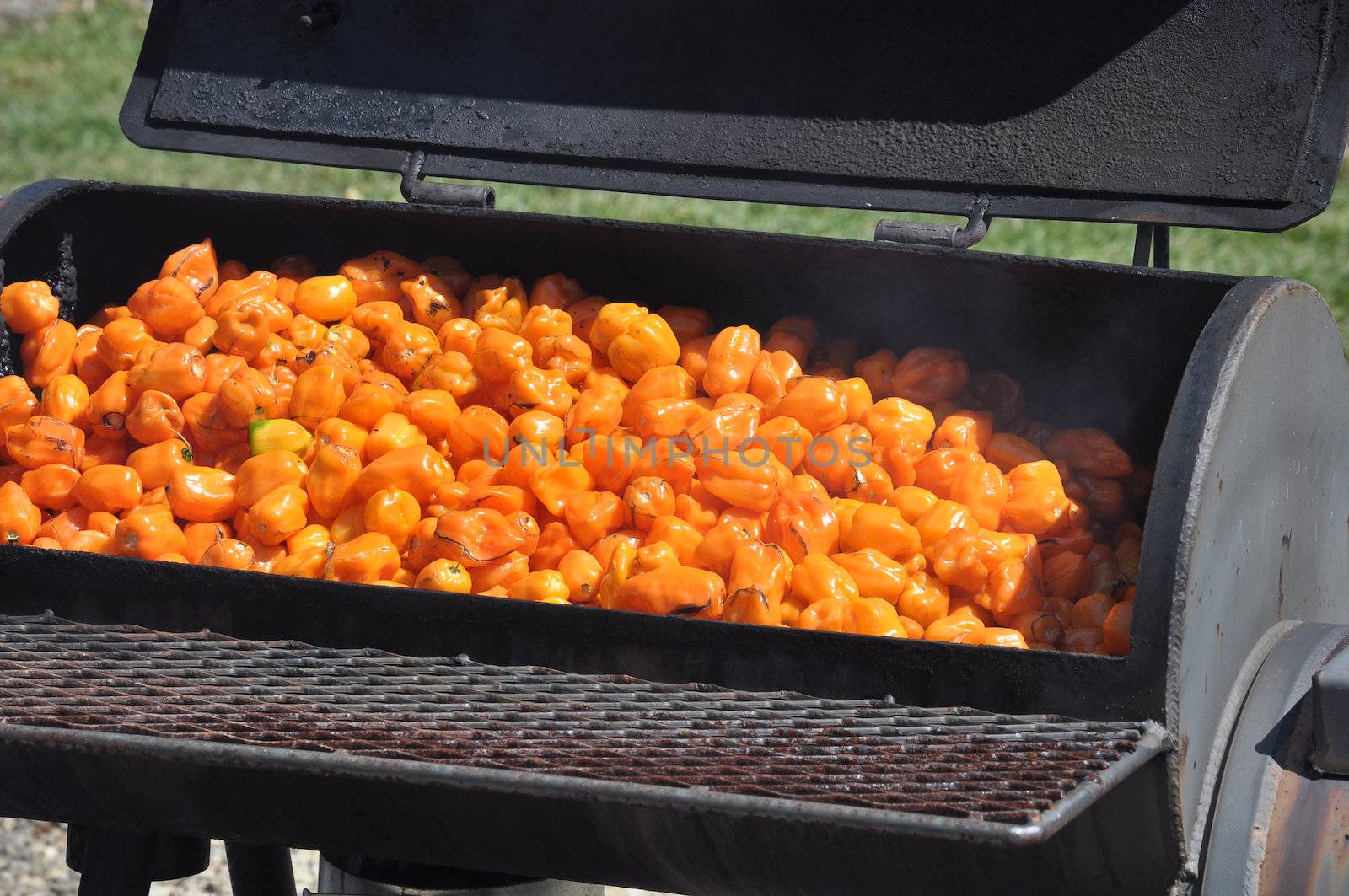 Large batch of hot chili peppers being smoked on a grill