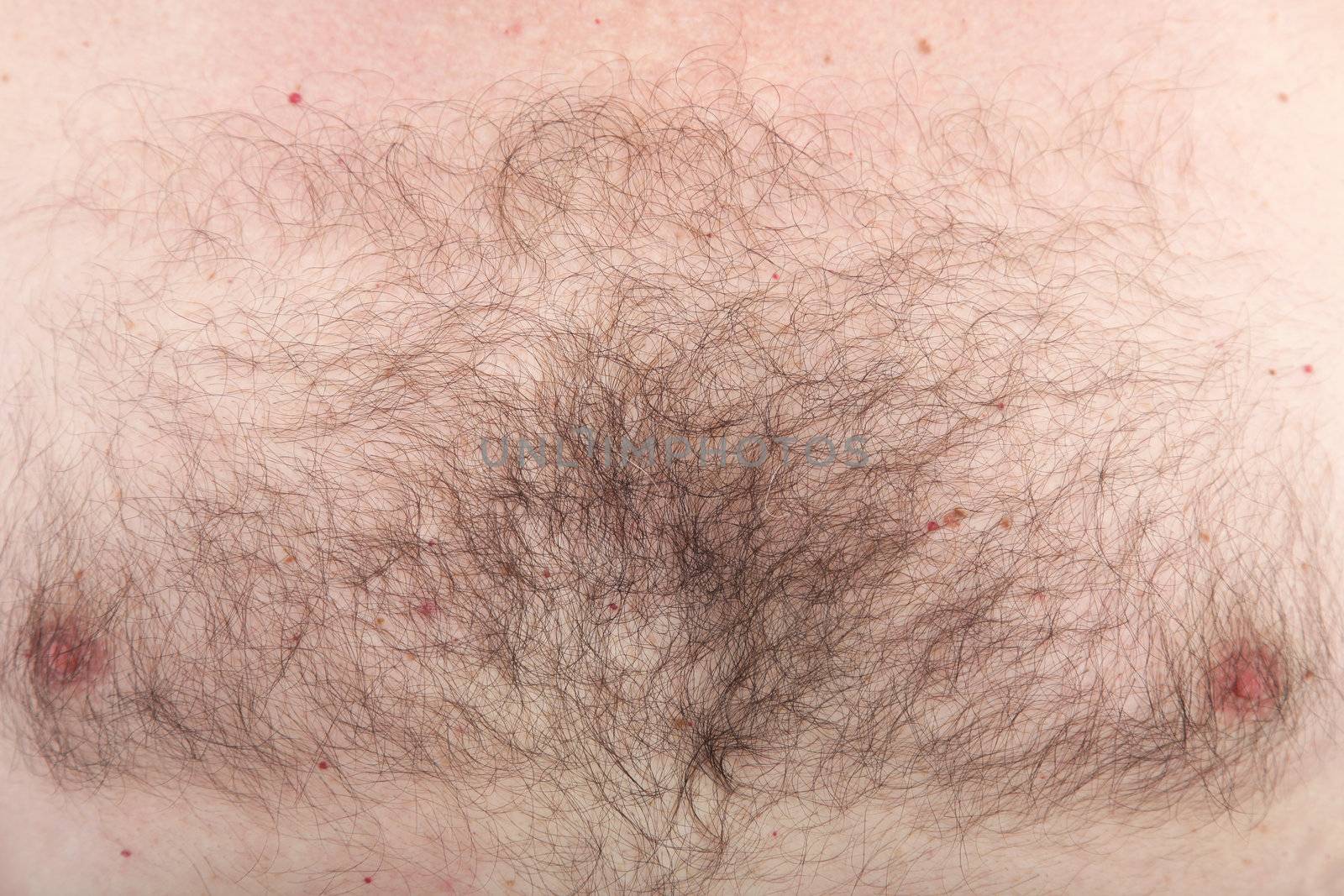 Mans hairy chest with nipples by Farina6000