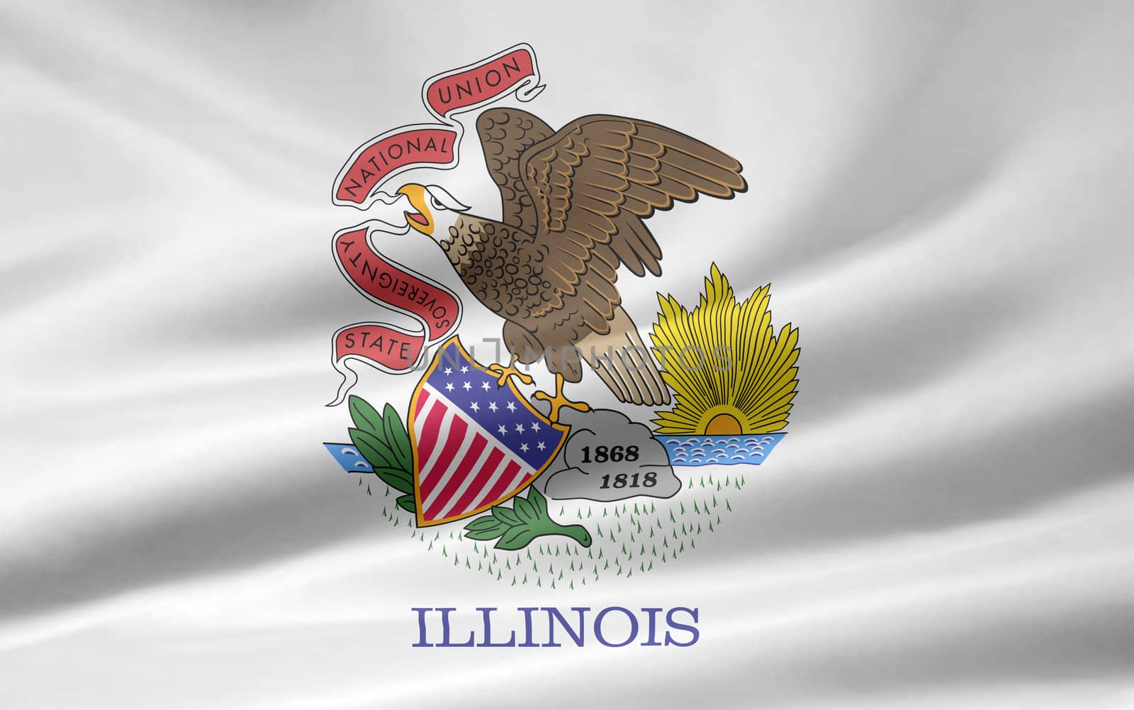 Flag of Illinois by joggi2002