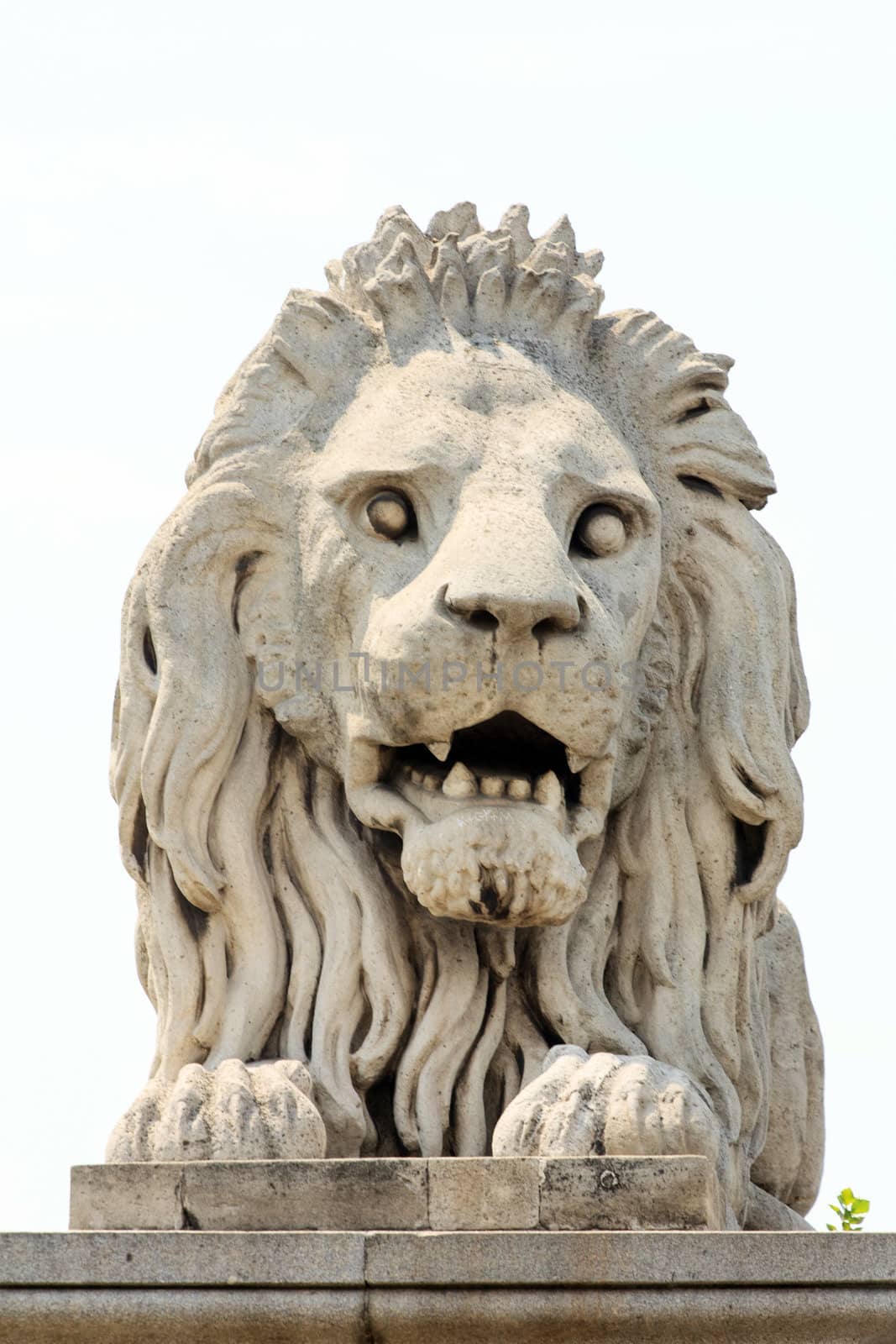 A lion statue