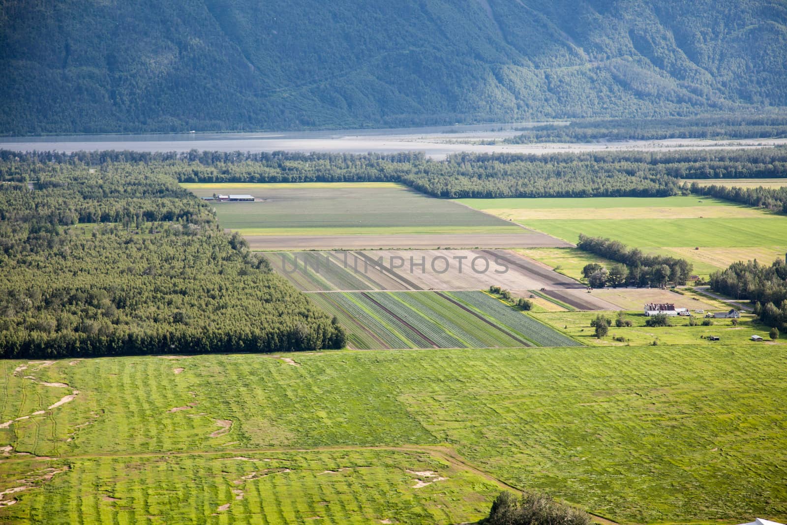 Rural Fields in Alaska by studio49