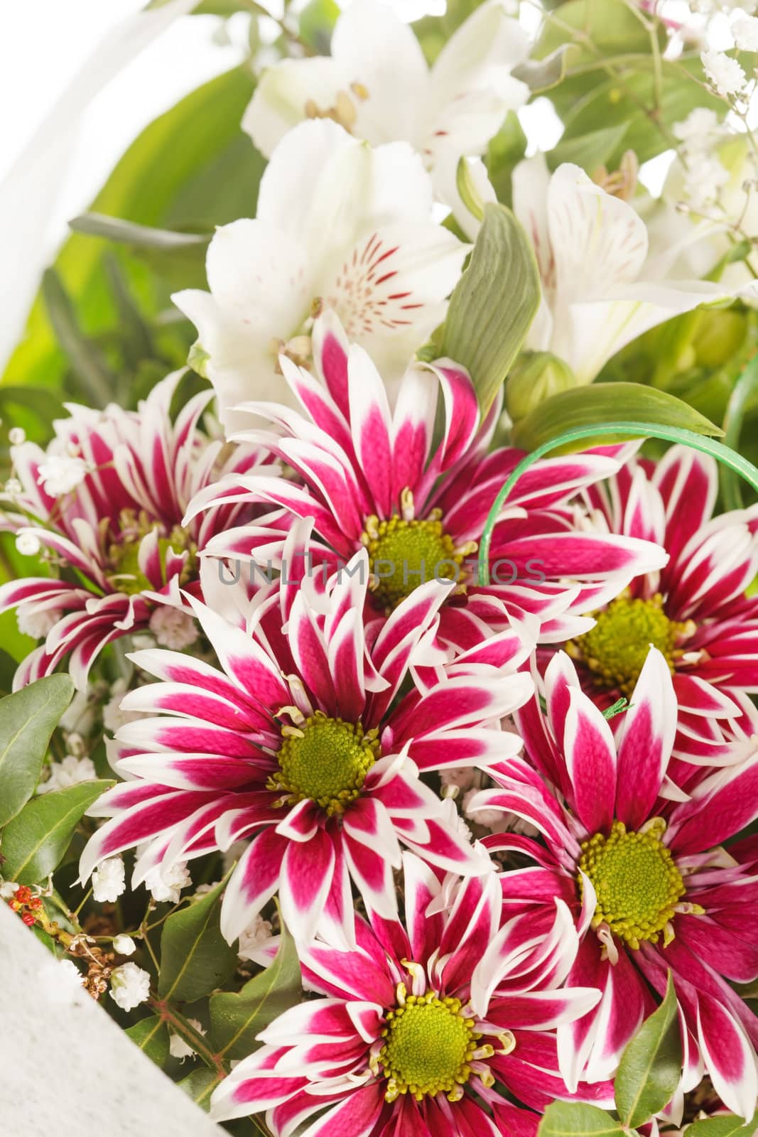 bouquet of colorful flowers 