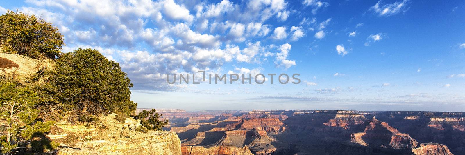 panoramic view of Grand Canyon at sunrise, USA