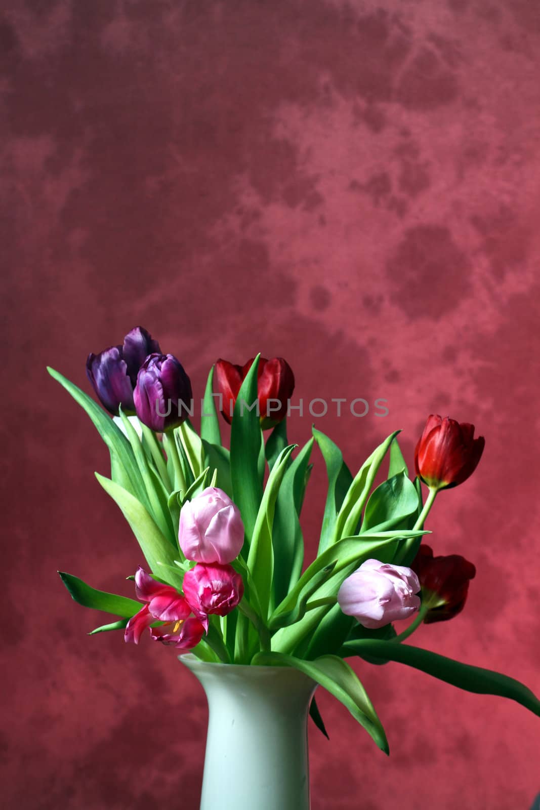 Bouquet of colorful tulip in a vase
