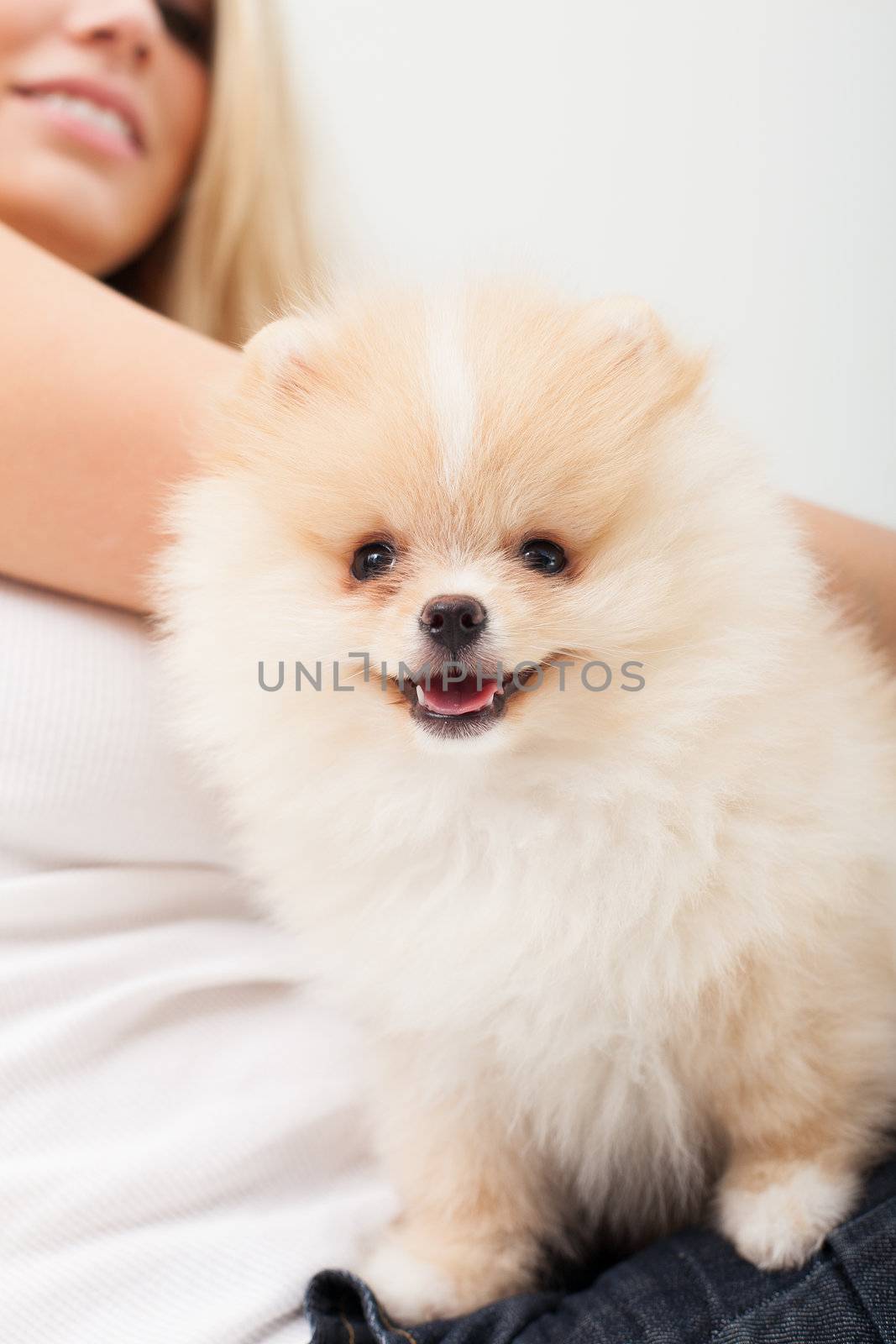 young woman playing with her tinny dog at home