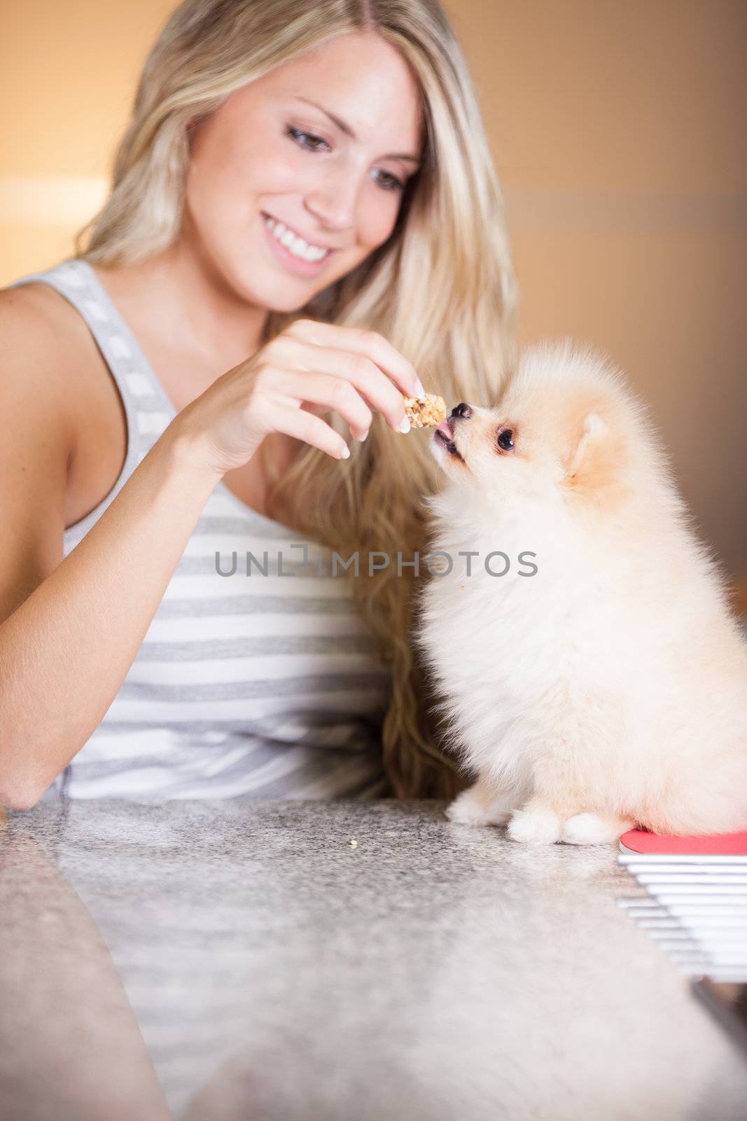 young woman playing with her tinny dog at home