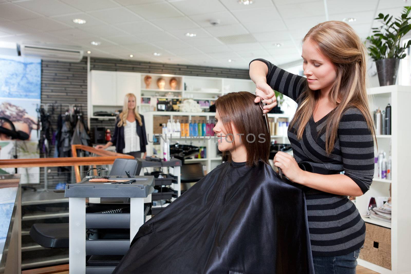 Hairdresser Thinning Customer's Hair by leaf