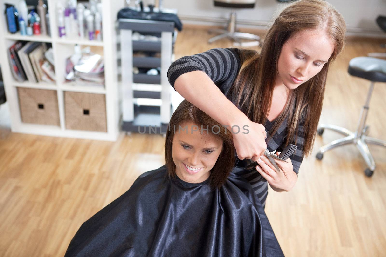 Hairdresser cutting client's hair in beauty salon.