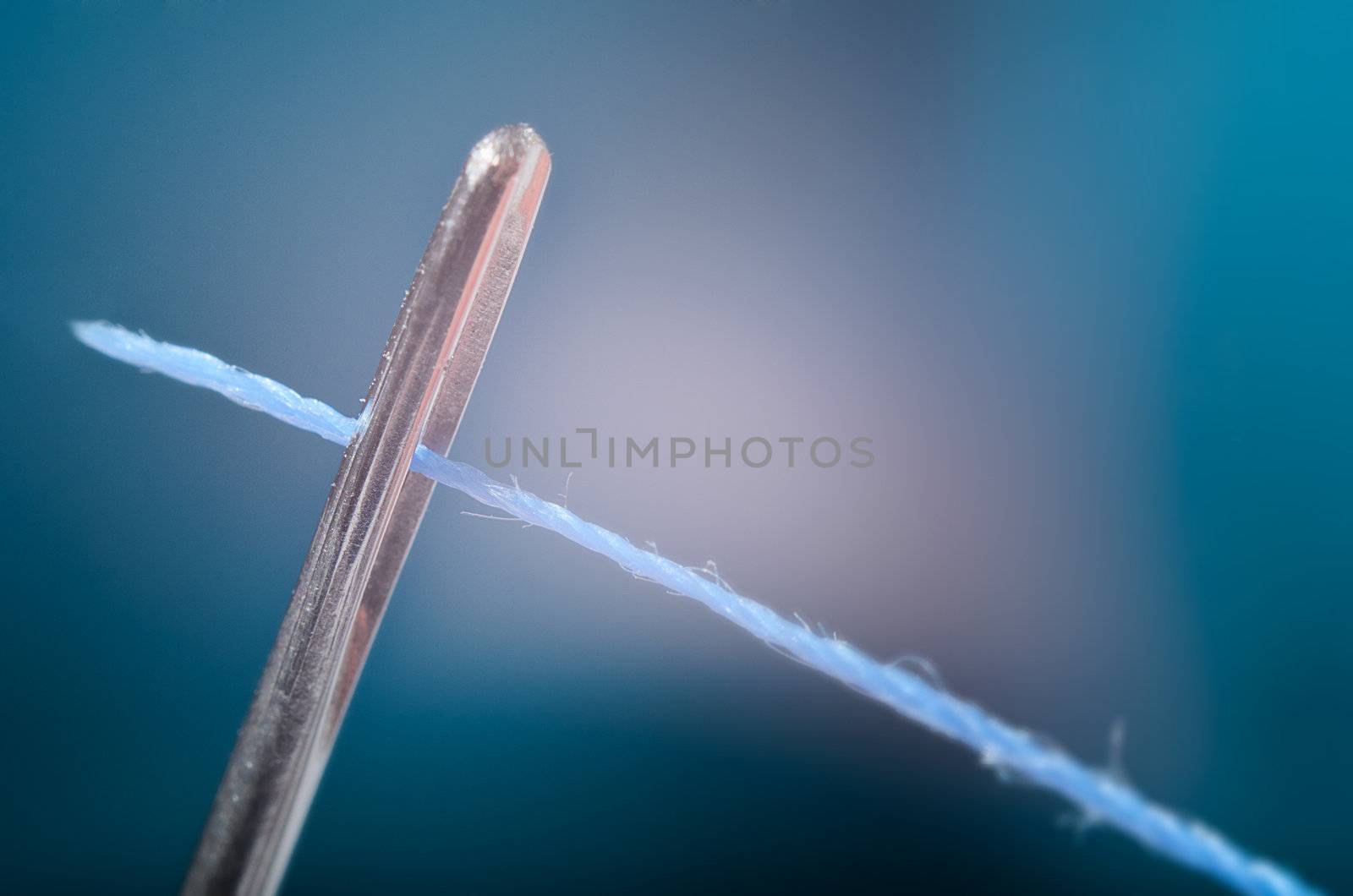 Macro view of thread going through the eye of a needle.