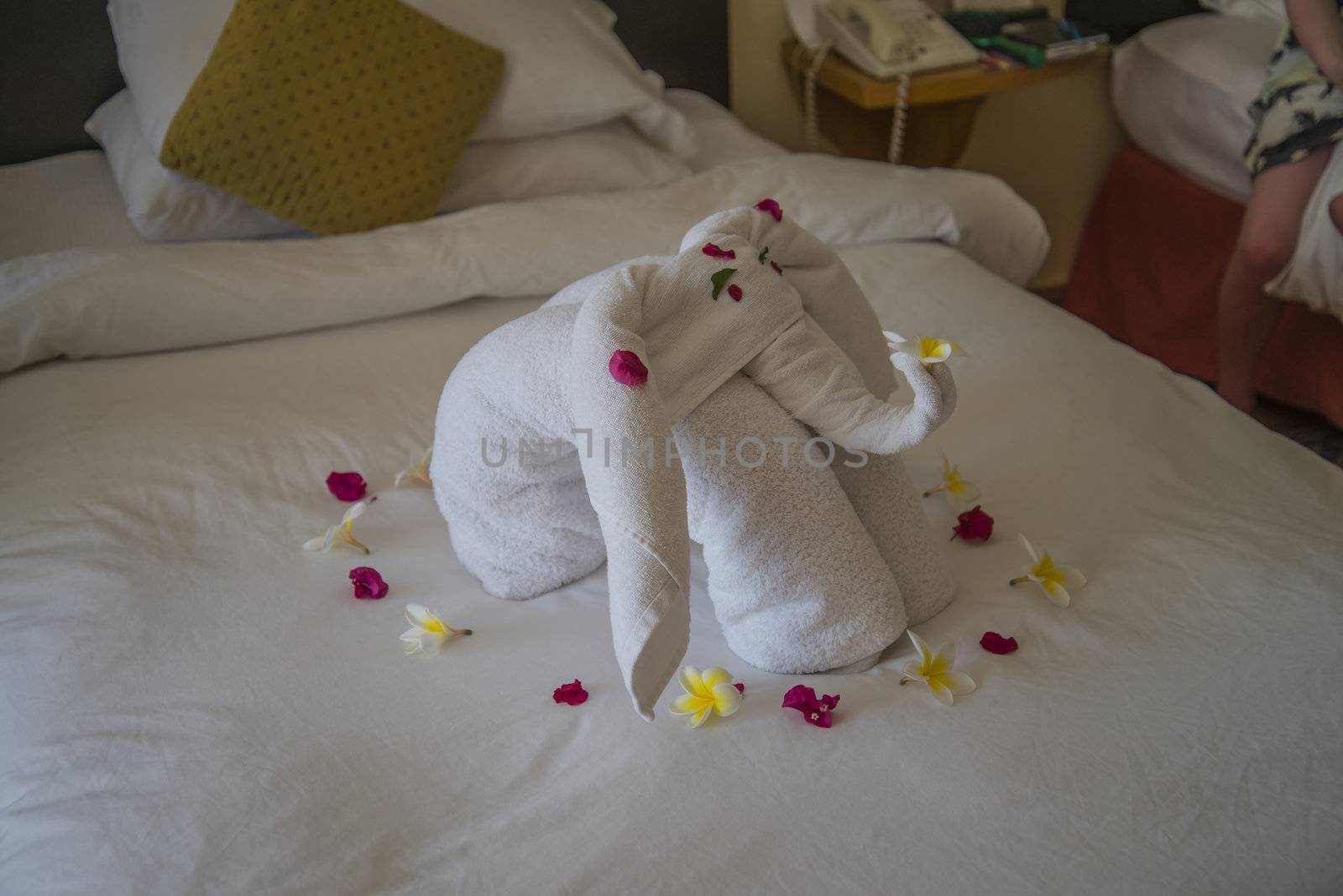 funny shape on the bed, elephant by steirus
