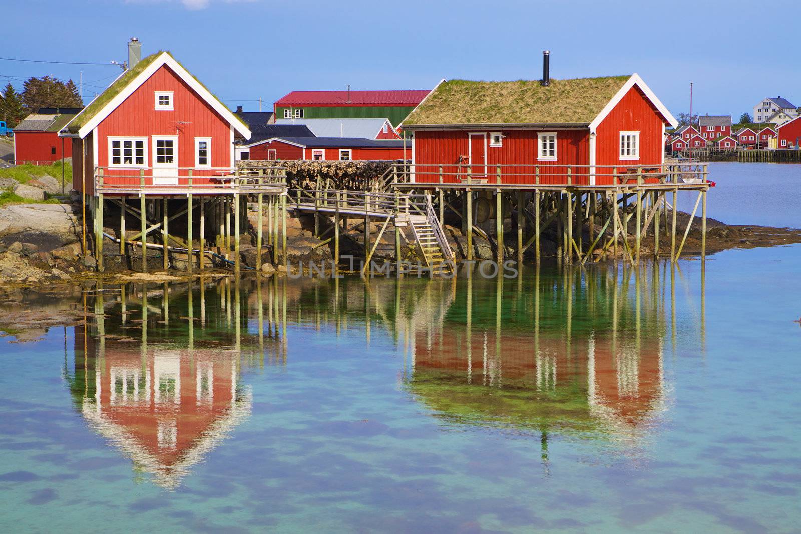 Traditional norwegian red rorbu huts with sod roof in town of Reine on Lofoten islands in Norway