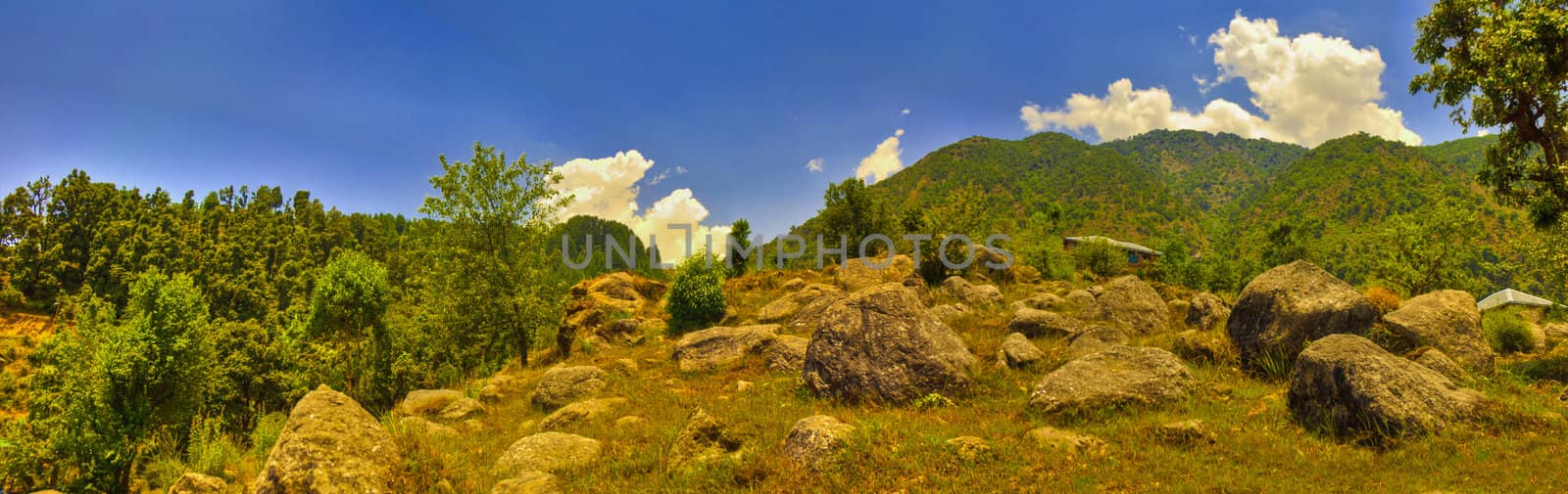 himalayan mountains